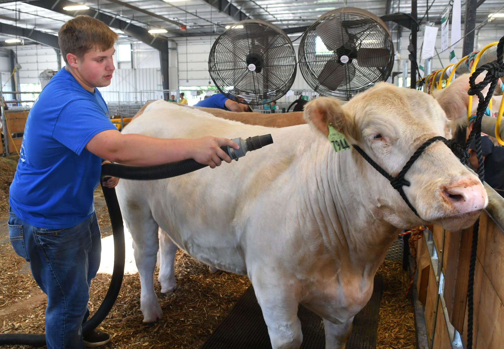 Day 5 of the Mississippi Valley Fair